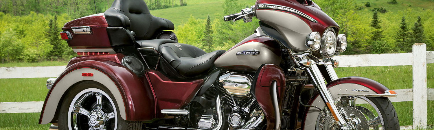 2020 Harley-Davidson® for sale in Reiman's Harley-Davidson®, Kewanee, Illinois